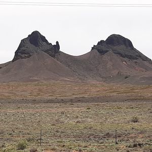 Meet your Posher, Elvina